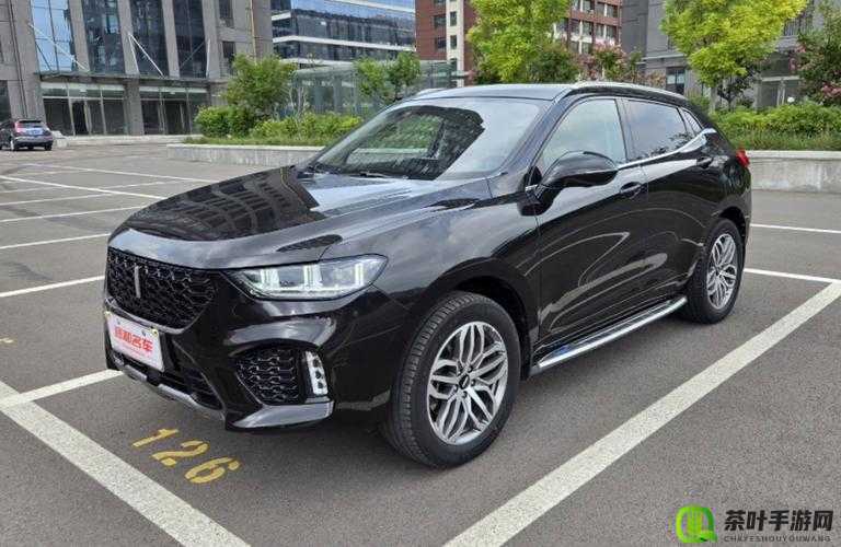 wey vv5 国产 SUV 卓越品质引领出行潮流