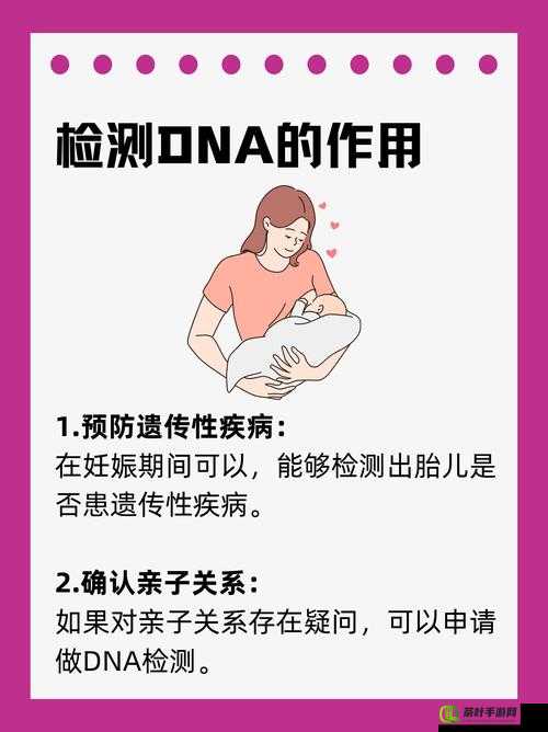 母亲的 DNA 和儿子的 DNA 是一样的吗：探究遗传的奥秘