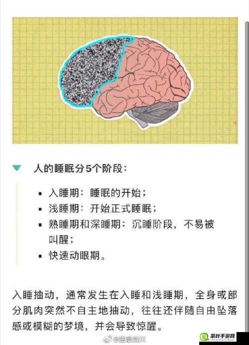 刚入睡感觉巨大的东西在动：这到底是怎么回事呢