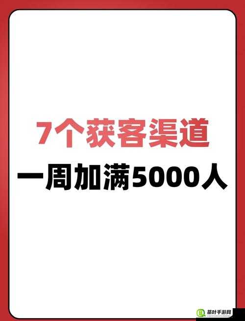 勇者大冒险游戏攻略，深度解析好友送体力与添加好友的机制