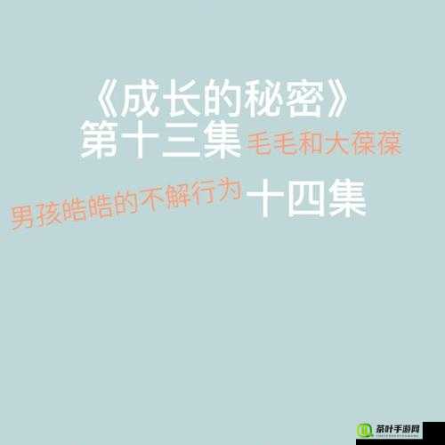 成长的秘密毛毛葆葆观察记录：探寻童真世界的成长轨迹