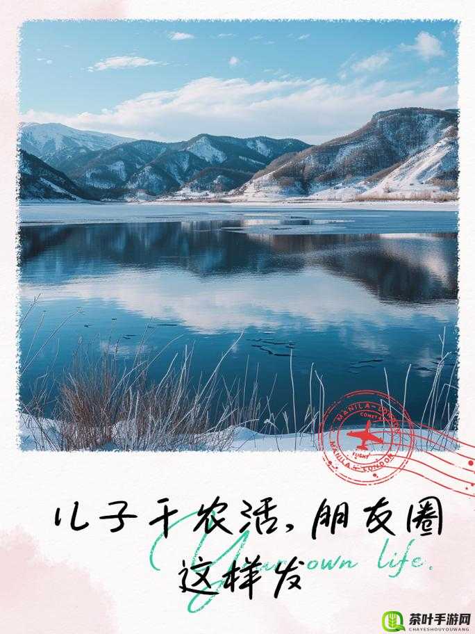 儿子替母耕耘：荒芜田地上的亲情与责任