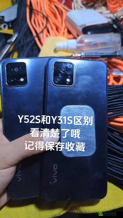 一级成色好的 y31s 标准版评测：收录超多定制视频